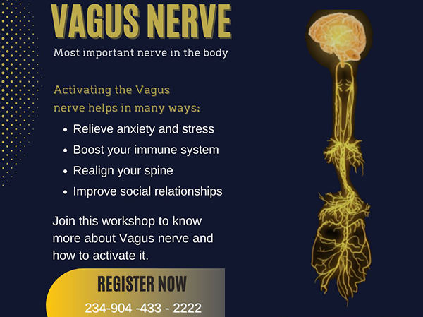 Unlocking the Power of the Vagus Nerve